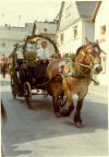 Festumzug 05
